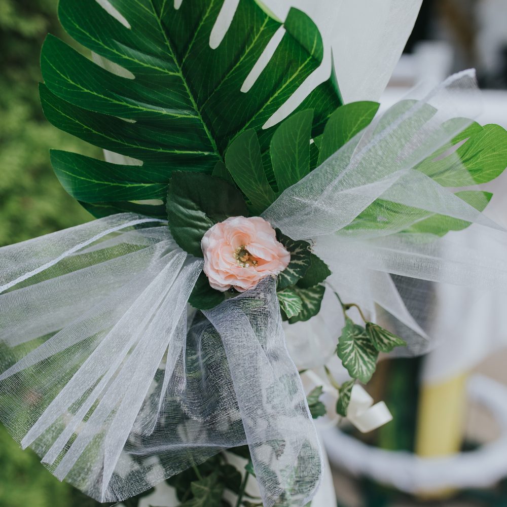 Tüll és monstera a széken.